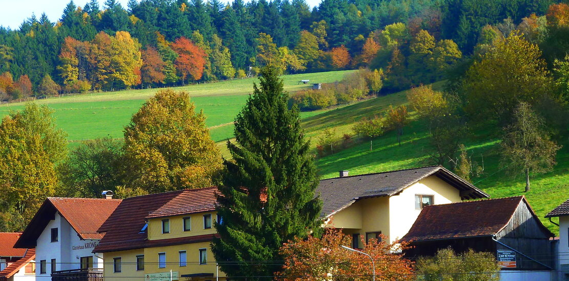 Hotel Gasthof Zur Krone