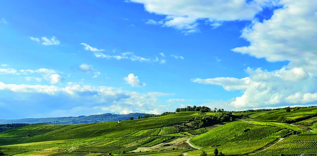 Weingut und Restaurant Eremita