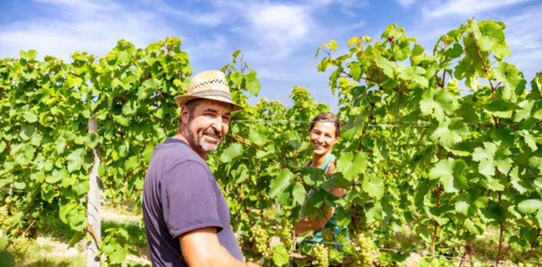Weingut Kisselbach