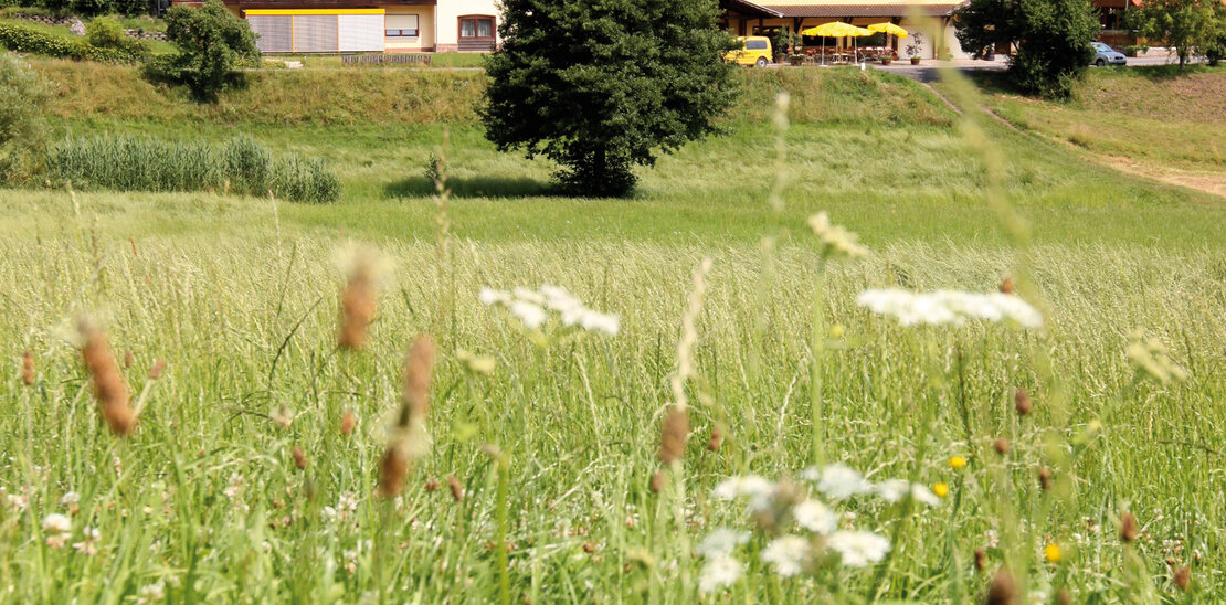Odenwald Gasthaus &amp; Hotel Dornr&ouml;s&#039;chen