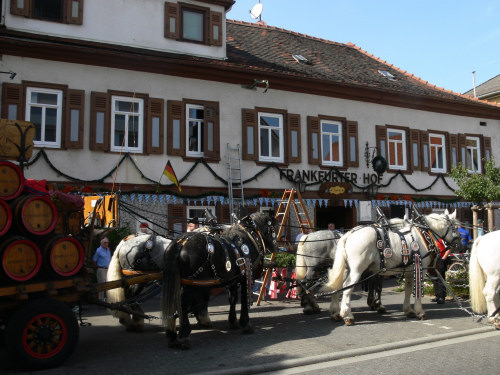 Seppche Seppche